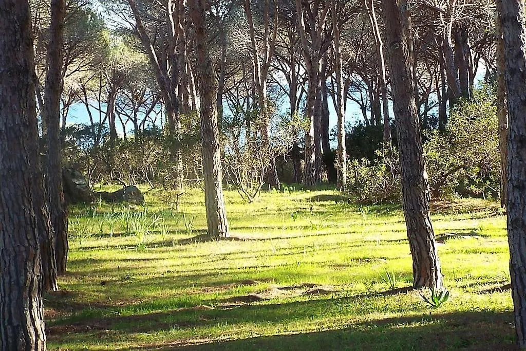 Villetta spiaggia a piedi BudoniAffitti Budoni
